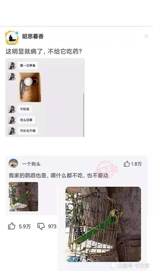 深圳网友冯女士最新爆料,揭秘事件背后惊人真相! 第3张 深圳网友冯女士最新爆料,揭秘事件背后惊人真相! 第3张